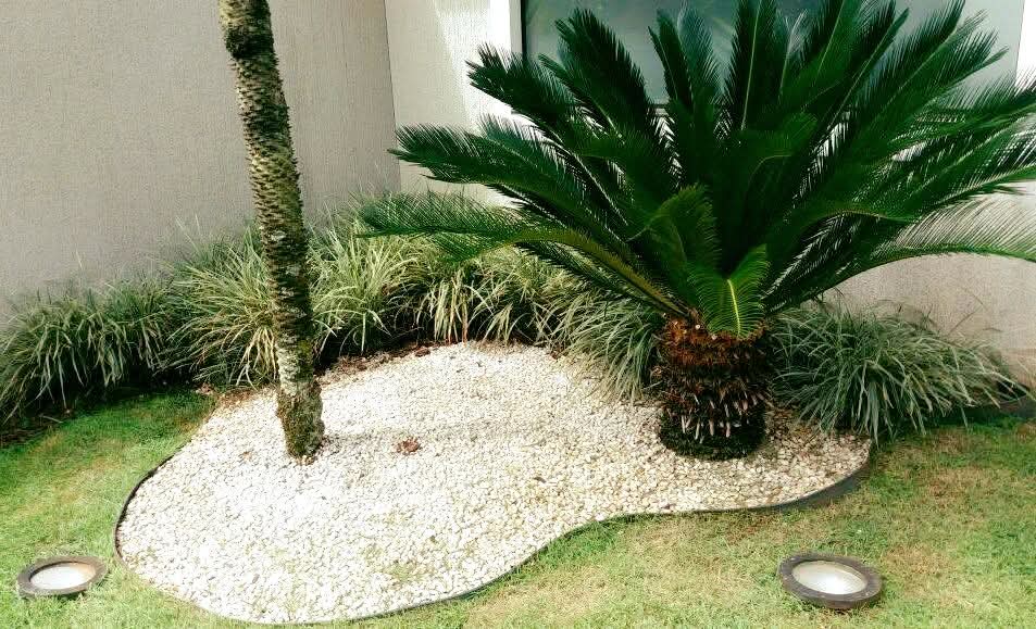Jardim 1