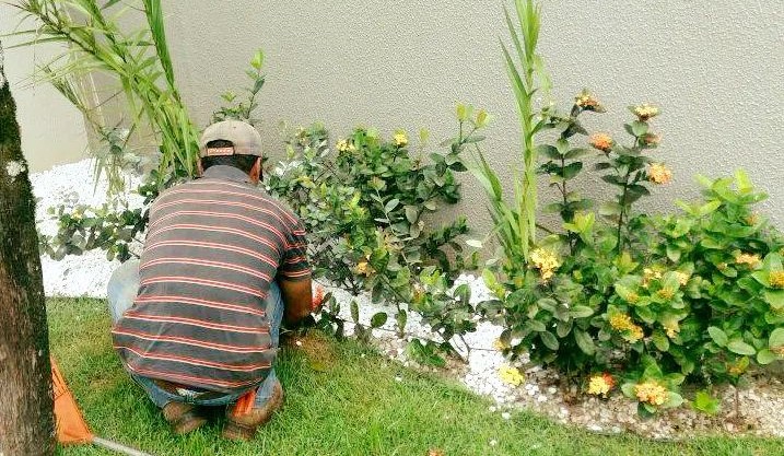 Jardim 2